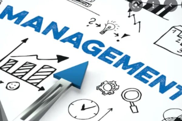 management-1.jpg